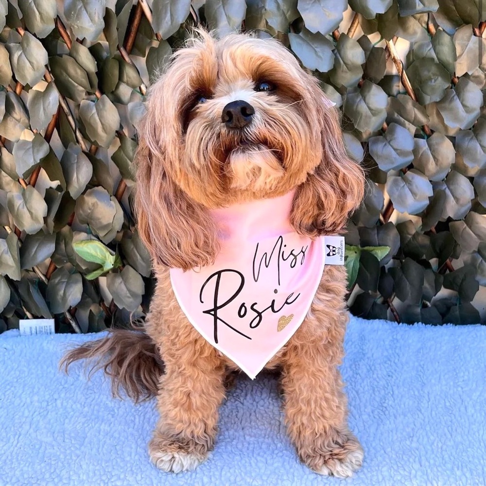 Customizable Dog Bandanas Velcro Closure can be made reversible as well